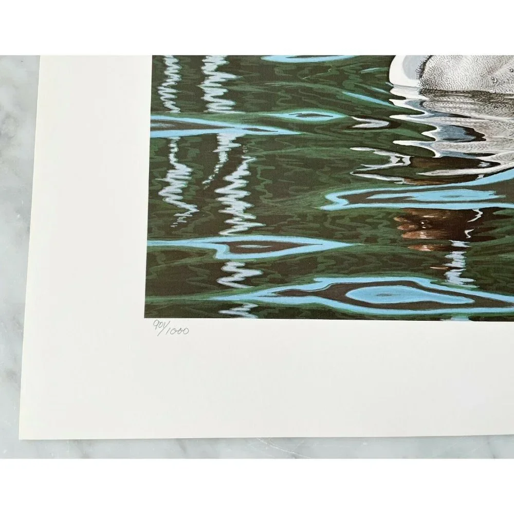 Neal Anderson Courtship-Pintails Duck Print 1997 Limited Edition Signed 901/1000